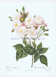 Фотография 0008.jpg