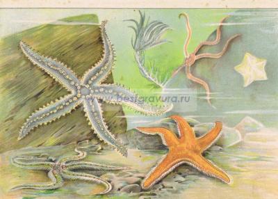 Фотография 0009.jpg