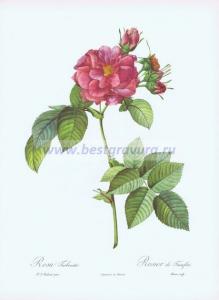 Фотография 0003.jpg