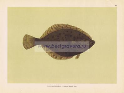 Фотография 0227.jpg