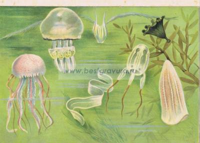 Фотография 0020.jpg