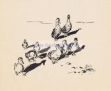 Фотография 0040.jpg