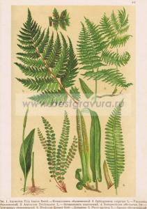 Фотография 0082.jpg