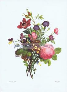 Фотография 0018.jpg