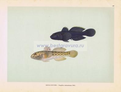 Фотография 0197.jpg